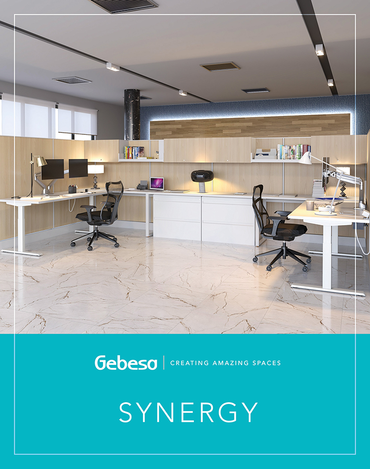 Office Furniture Catalog Gebesa